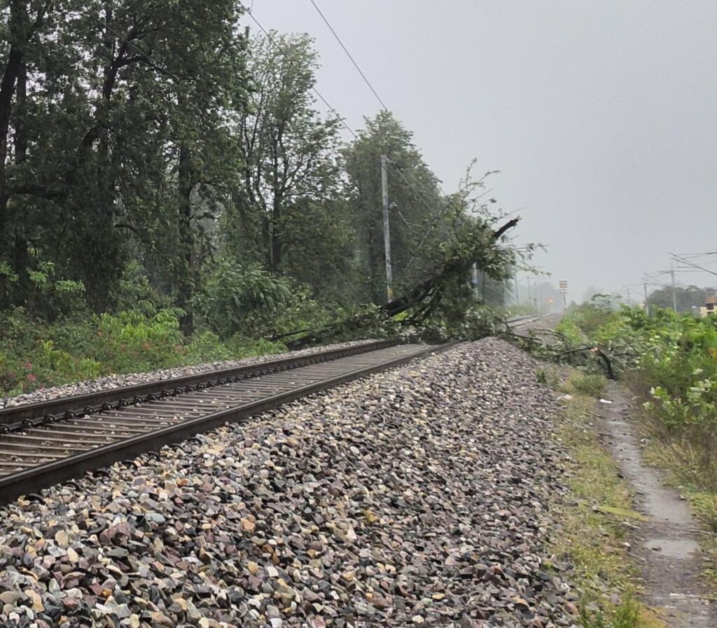 Uttarakhand Nnews 