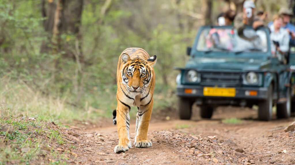 uttarakhand