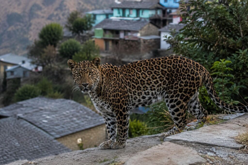 Uttarakhand